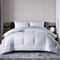 All Seasons Down Alternative Comforter White Soft Polyester Duvet Insert with Corner Tabs